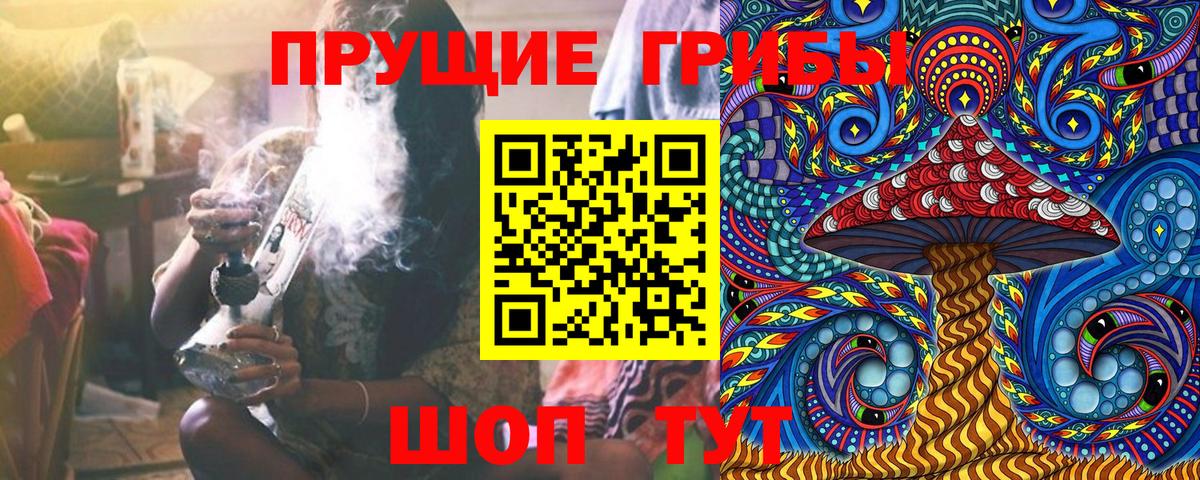 Псилоцибиновые грибы Psilocybe  Вход с VPN  цены   Галлюциногенные грибы прущие грибы  Рыбинск 