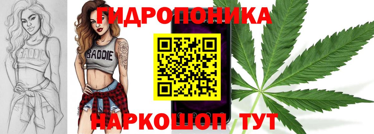 Конопля планчик Рыбинск